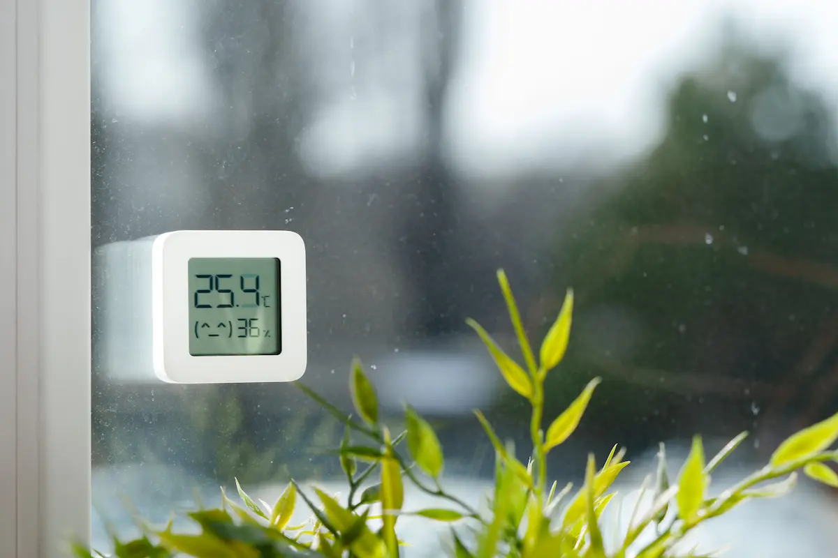 Thermometer Attached to Window With Rain and Plant